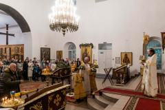 DSC06860