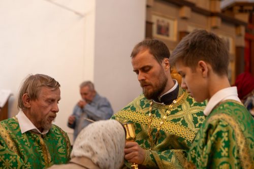 IMG 9528