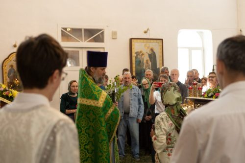 IMG 9631 (1)