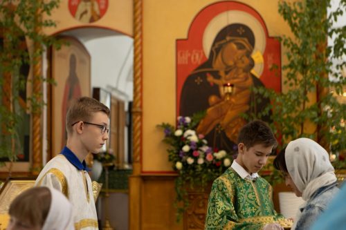IMG 9662 (1)